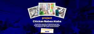 Chicken Nabea Ataba